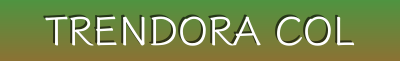 Trendora Collective | Popular Men’s & Women’s Fashion | Designer & Limited-Time Deals